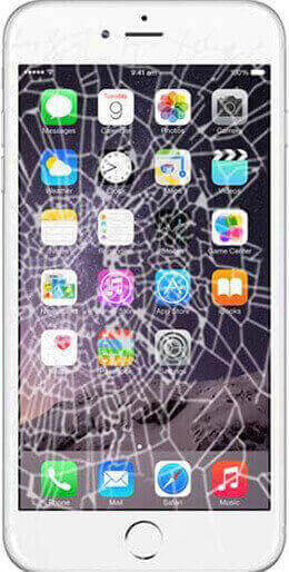 cell guard repair services